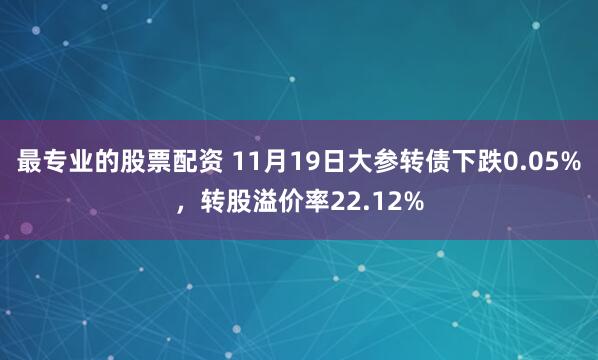 最专业的股票配资 11月19日大参转债下跌0.05%，转股溢价率22.12%