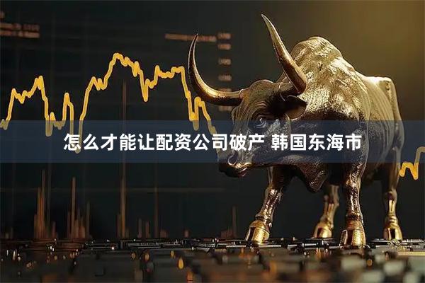 怎么才能让配资公司破产 韩国东海市
