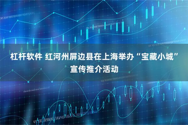 杠杆软件 红河州屏边县在上海举办“宝藏小城”宣传推介活动