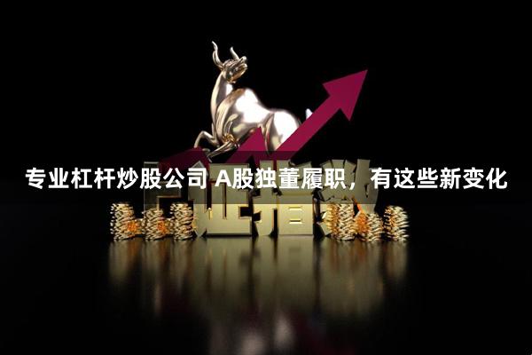 专业杠杆炒股公司 A股独董履职，有这些新变化