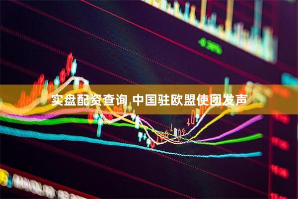实盘配资查询 中国驻欧盟使团发声